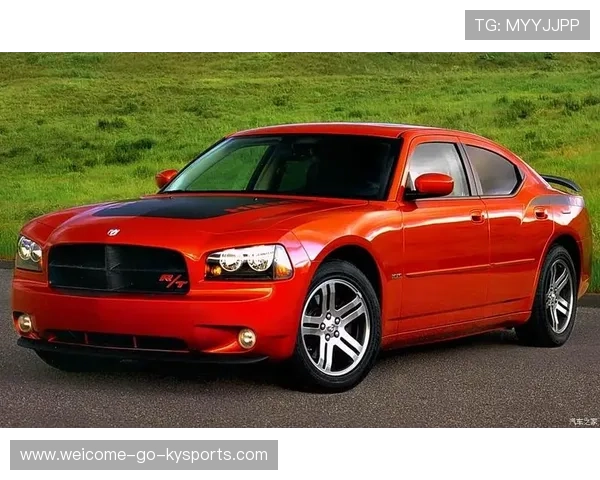 这画面太美！道奇MVP大嫂团合照引热议大谷爱妻甜美笑容吸睛，道奇dakota